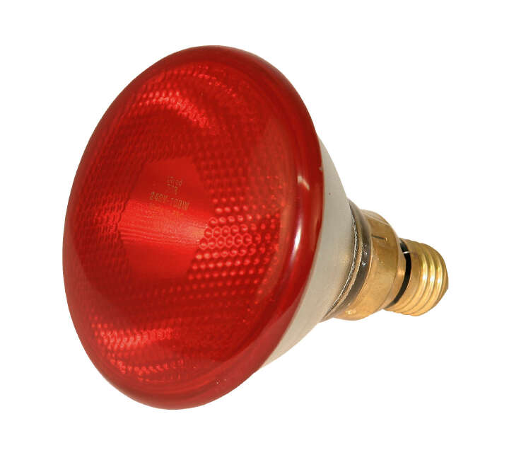 KERBL Infrarot-Sparlampe PAR 38